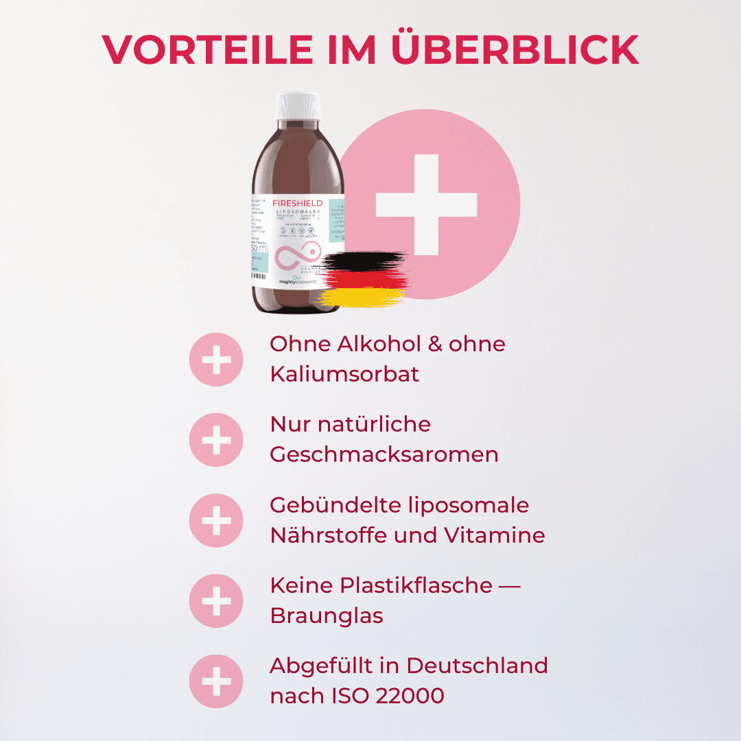 Fireshield, Bild 4