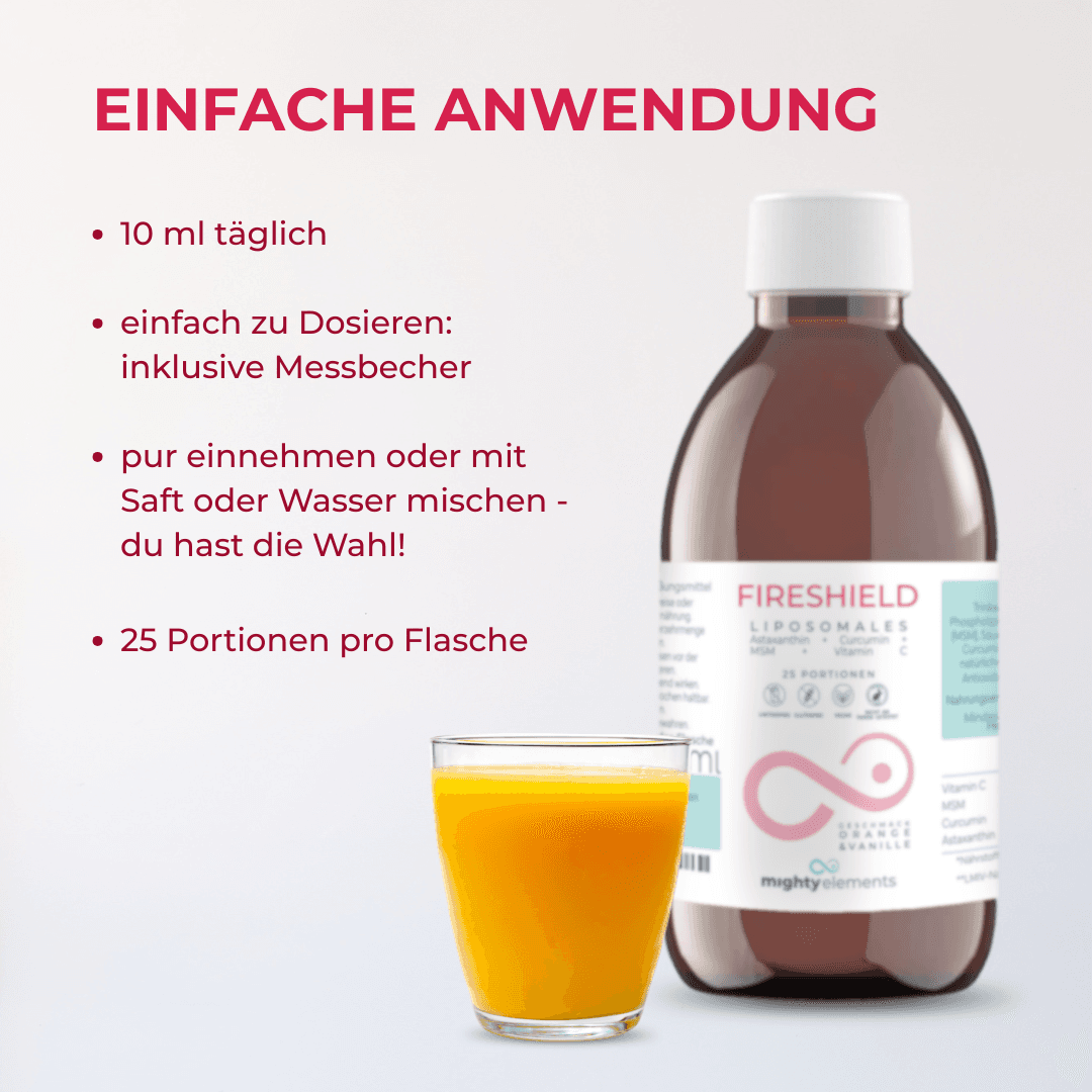 Fireshield, Bild 5