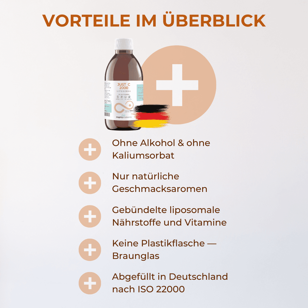 Just C, Bild 4