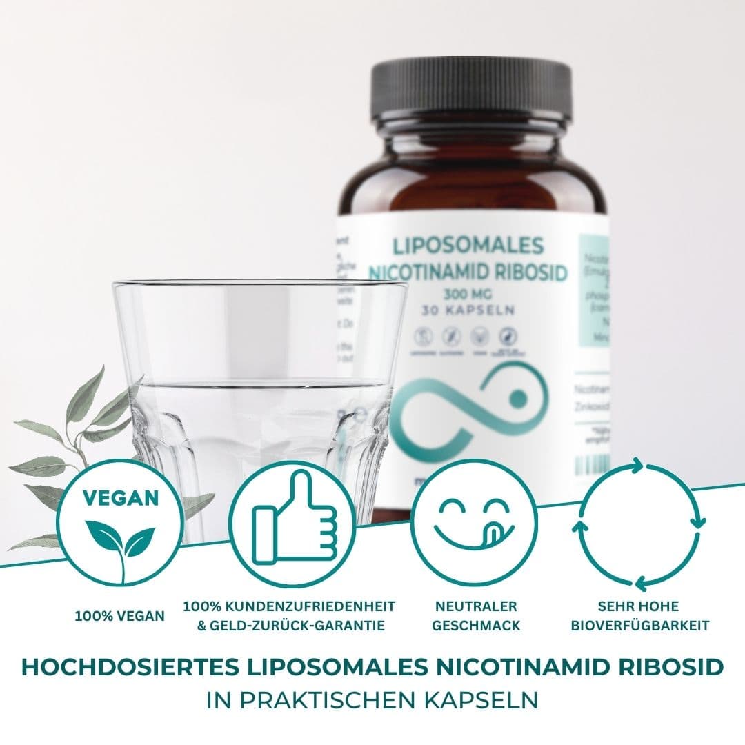 Nicotinamide-Riboside (NR) Kapseln, Bild 3