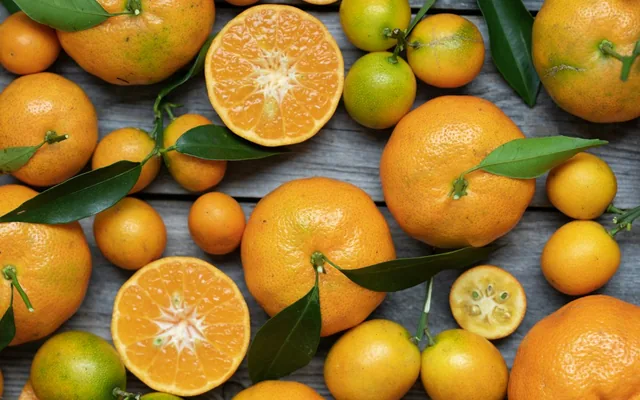 Frische Zitrusfrüchte als Symbol für Vitamin C