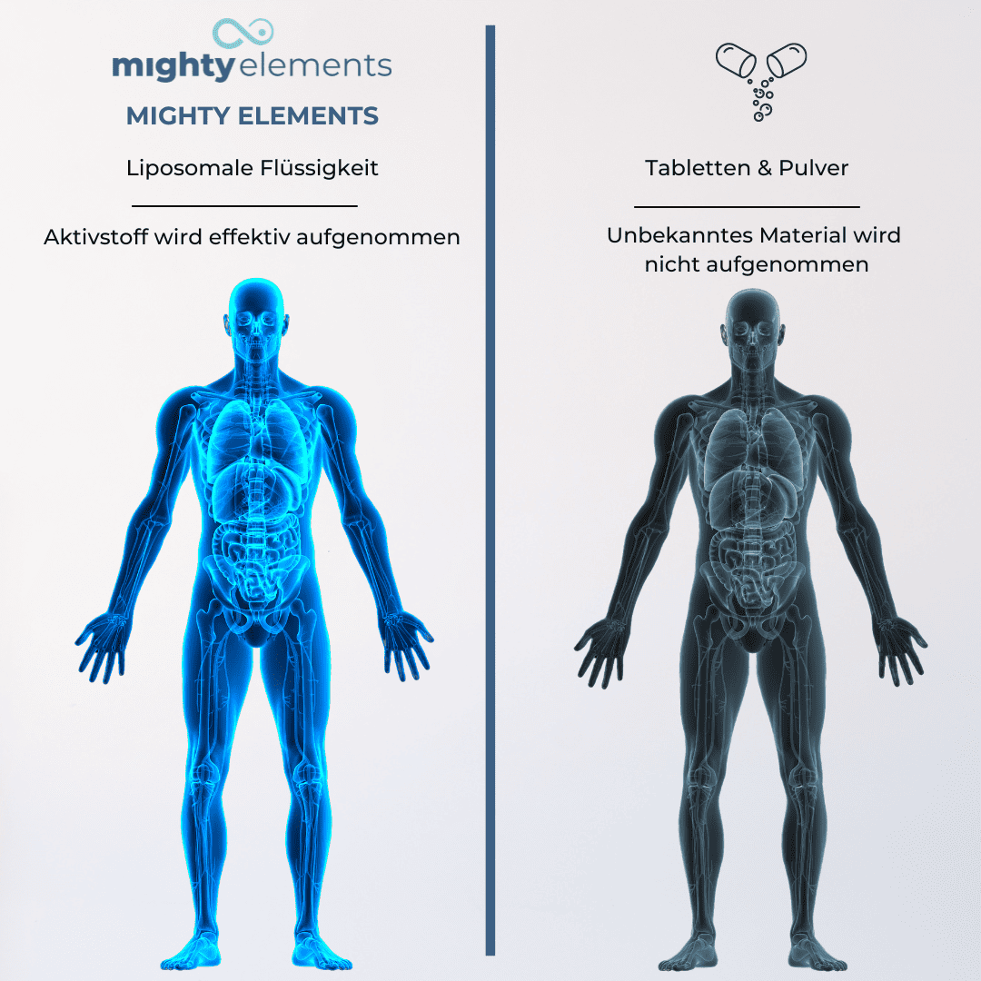 Essentials Liposomales Magnesium (150mg), B12 (100µg), Vitamin D3 (125 µg), K2MK7 (100 µg)