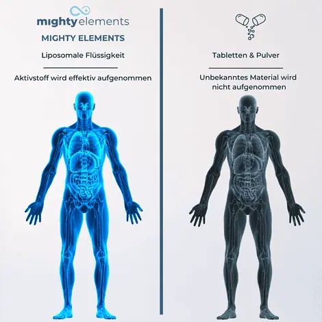 vergleich liposomales fireshield astaxanthin curcumin msm vitamin c