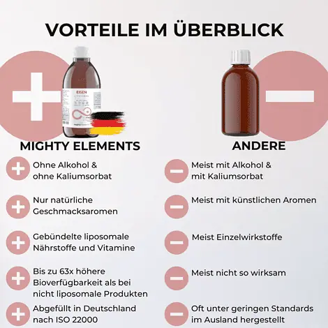 vorteile liposomales eisen