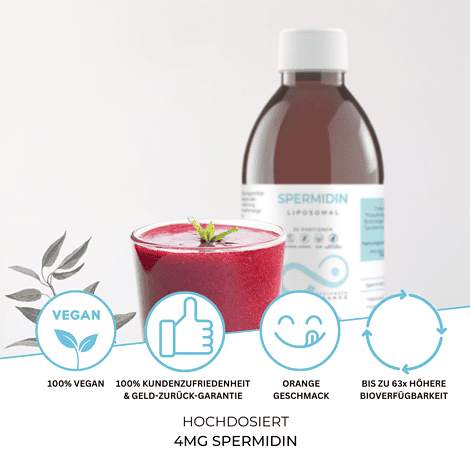 besonderheit liposomales spermidin