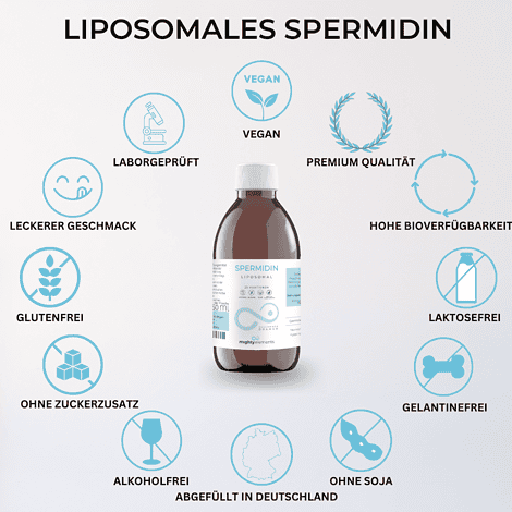 eigenschaften liposomales spermidin