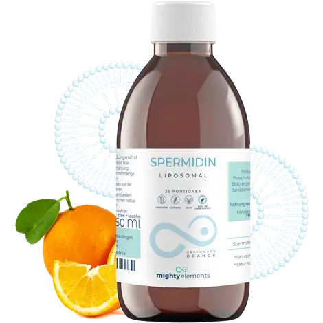 liposomales spermidin mighty elements