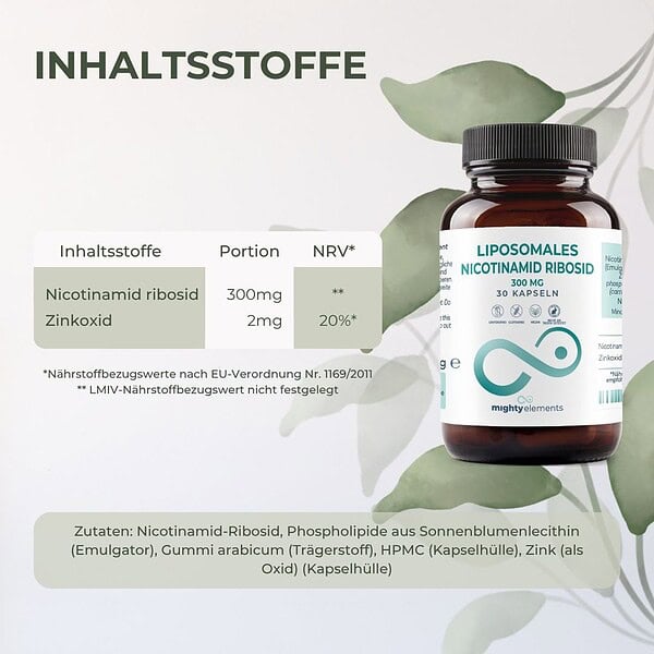 Nicotinamide-Riboside (NR) Kapseln - Liposomales NR (300 mg), Zink (2 mg) | 30 vegane Kapseln – Bild 2