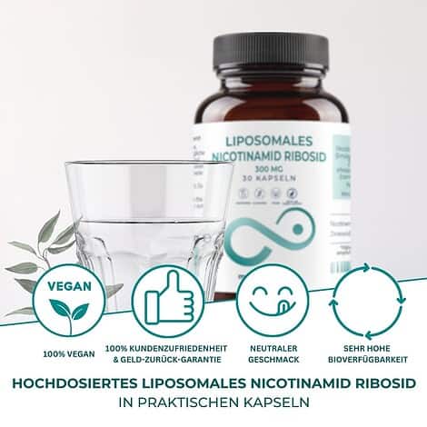 Nicotinamide-Riboside (NR) Kapseln - Liposomales NR (300 mg), Zink (2 mg) | 30 vegane Kapseln – Bild 3