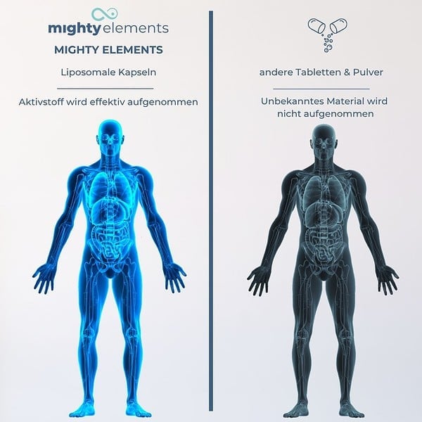 Nicotinamide-Riboside (NR) Kapseln - Liposomales NR (300 mg), Zink (2 mg) | 30 vegane Kapseln – Bild 7