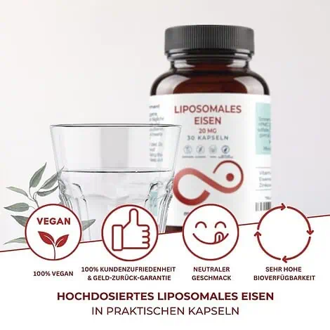 Eisen Kapseln - Liposomales Eisen (20 mg), Vitamin C (200 mg), Zink (2 mg) | 30 vegane Kapseln – Bild 4