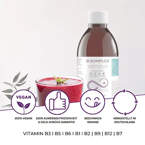 Vitamin B-Komplex - Liposomales Vitamin B3 (24 mg), B5 (12 mg), B6 (2,8 mg) und vielen weiteren Vitaminen – Bild 3