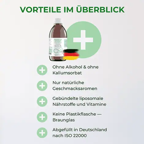Brokkoli - liposomales Brokkoli-Extrakt (400mg) vegan, ohne Alkohol – Bild 4