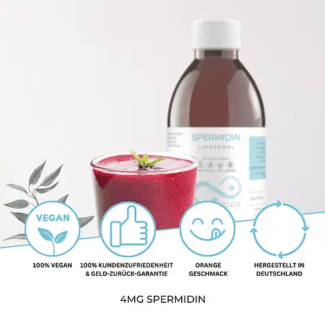 Spermidin - Liposomales Spermidin (4 mg) vegan, ohne Alkohol – Bild 3